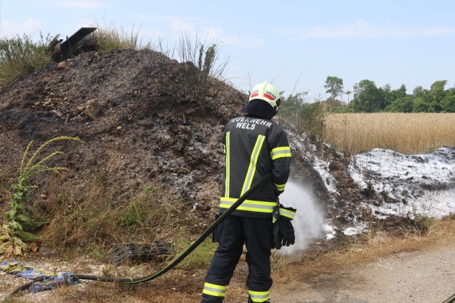 Feuerwehr und Polizei bei Flurbrand in Wels-Schafwiesen im Einsatz