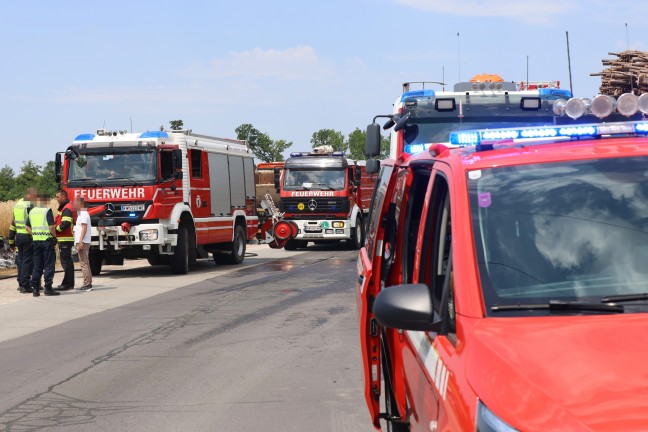 Feuerwehr und Polizei bei Flurbrand in Wels-Schafwiesen im Einsatz