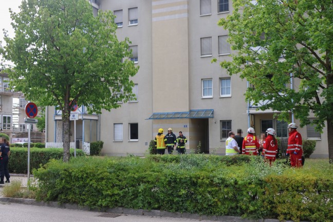 Brandeinsatz: Kleinbrand in der K�che einer Mehrparteienhauswohnung in Wels-Neustadt