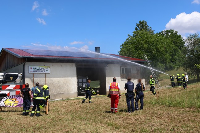 Brand eines Photovoltaikmoduls auf dem Dach eines Stadls in Hofkirchen im Traunkreis