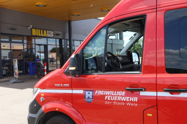 Marder durch Einsatzkr�fte der Feuerwehr aus Tankstellenshop in Wels-Waidhausen gerettet