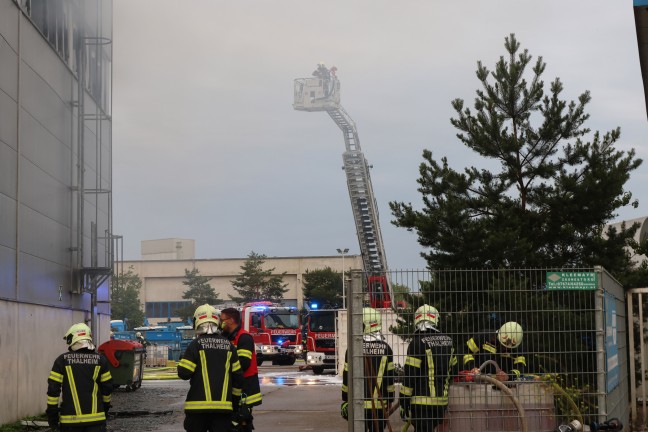 Firmenhalle in Vollbrand: F�nf Feuerwehren bei Entsorgungsbetrieb in Wels-Schafwiesen im Gro�einsatz