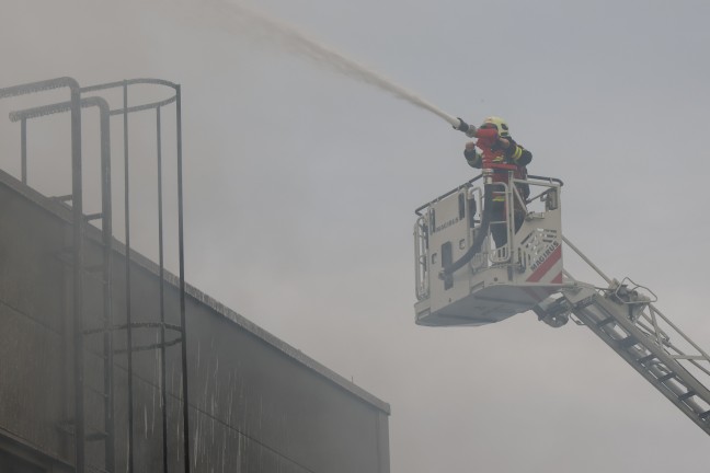 Firmenhalle in Vollbrand: F�nf Feuerwehren bei Entsorgungsbetrieb in Wels-Schafwiesen im Gro�einsatz