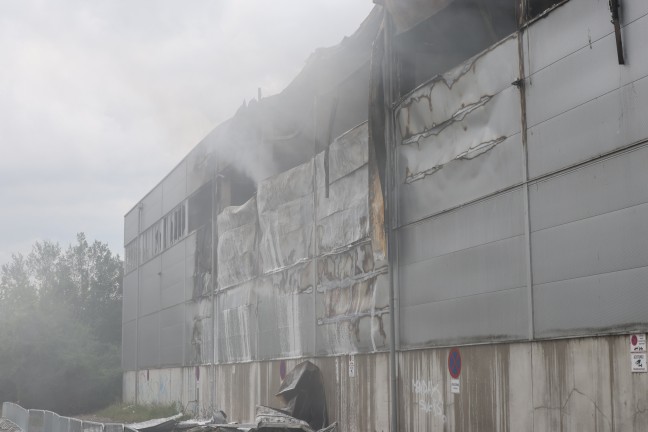 Firmenhalle in Vollbrand: F�nf Feuerwehren bei Entsorgungsbetrieb in Wels-Schafwiesen im Gro�einsatz
