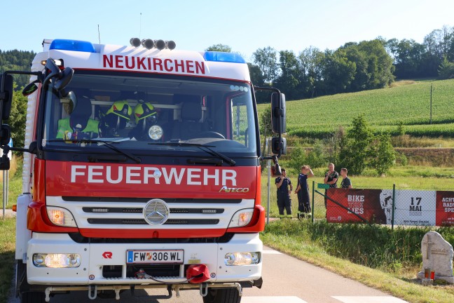 Schafbock gesichtet: Feuerwehr und Polizei zu entlaufenem Tier nach Neukirchen bei Lambach alarmiert