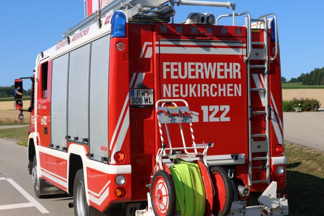 Schafbock gesichtet: Feuerwehr und Polizei zu entlaufenem Tier nach Neukirchen bei Lambach alarmiert