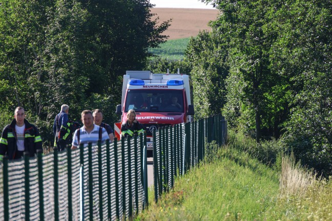 Schafbock gesichtet: Feuerwehr und Polizei zu entlaufenem Tier nach Neukirchen bei Lambach alarmiert
