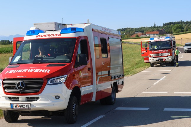 Schafbock gesichtet: Feuerwehr und Polizei zu entlaufenem Tier nach Neukirchen bei Lambach alarmiert