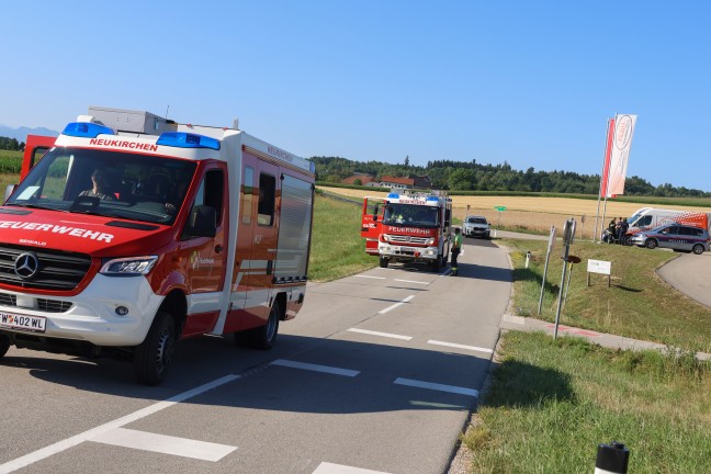 Schafbock gesichtet: Feuerwehr und Polizei zu entlaufenem Tier nach Neukirchen bei Lambach alarmiert