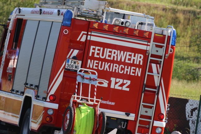 Schafbock gesichtet: Feuerwehr und Polizei zu entlaufenem Tier nach Neukirchen bei Lambach alarmiert