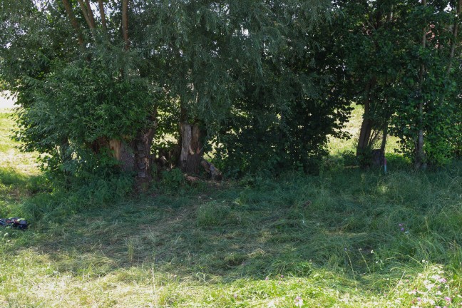 Randstein touchiert: Kleintransporter in Pennewang nach Unfall auf Br�cke gegen Baum geprallt
