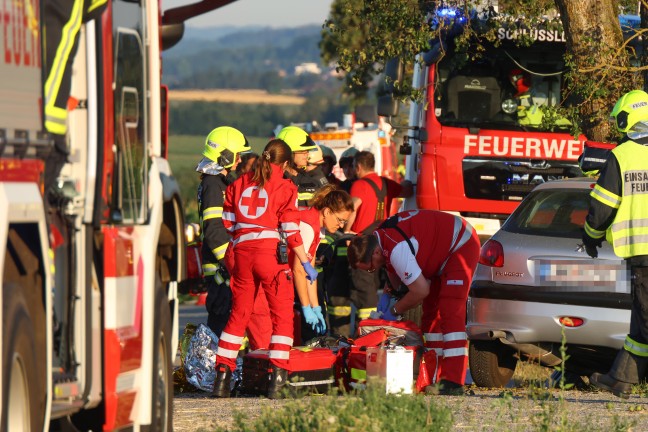 T�dlicher Verkehrsunfall: Auto in Schl��lberg frontal gegen Obstbaum gekracht