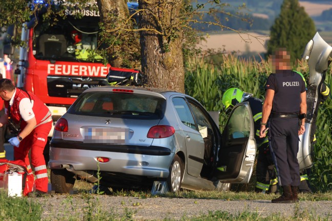 T�dlicher Verkehrsunfall: Auto in Schl��lberg frontal gegen Obstbaum gekracht