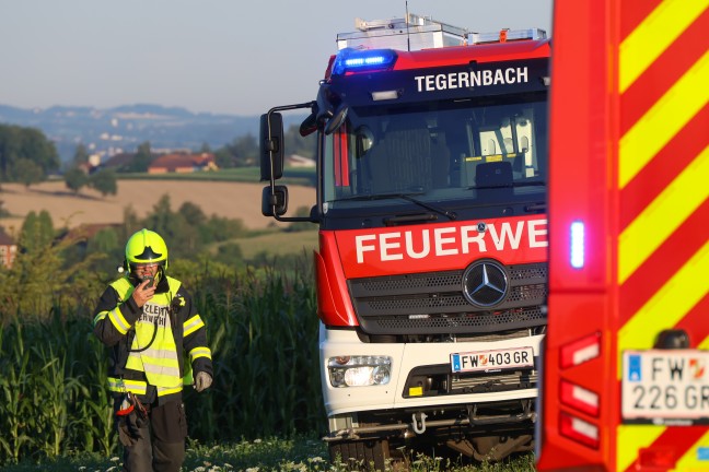 T�dlicher Verkehrsunfall: Auto in Schl��lberg frontal gegen Obstbaum gekracht