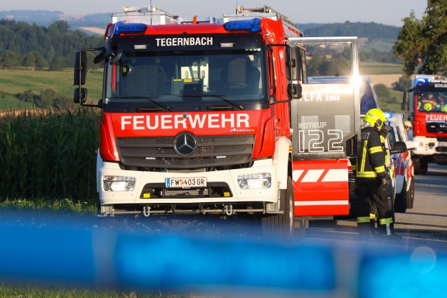 T�dlicher Verkehrsunfall: Auto in Schl��lberg frontal gegen Obstbaum gekracht