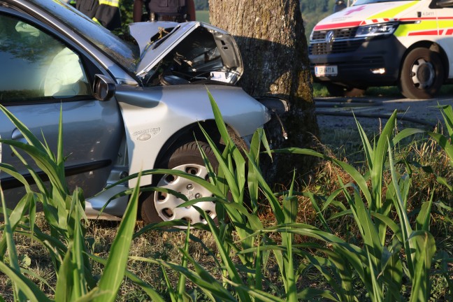T�dlicher Verkehrsunfall: Auto in Schl��lberg frontal gegen Obstbaum gekracht