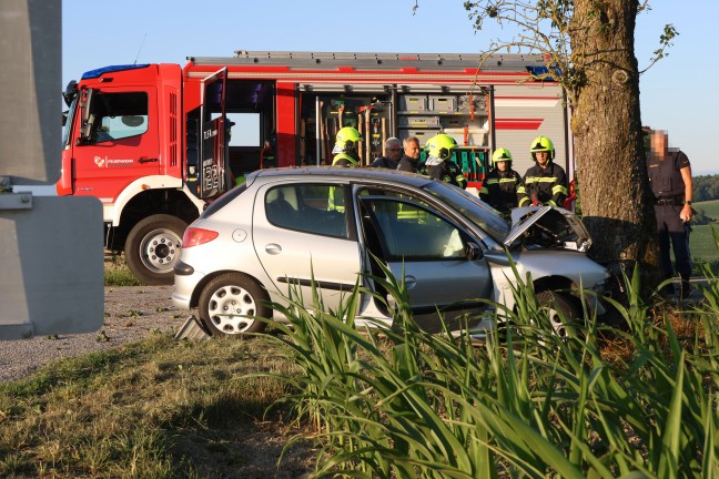 T�dlicher Verkehrsunfall: Auto in Schl��lberg frontal gegen Obstbaum gekracht