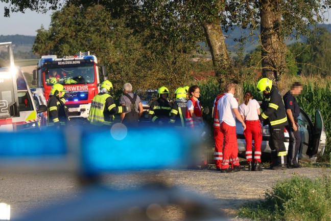T�dlicher Verkehrsunfall: Auto in Schl��lberg frontal gegen Obstbaum gekracht