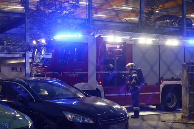 Kleinfl�chiger Flurbrand auf einem Spielplatz in Wels-Neustadt durch Feuerwehr abgel�scht