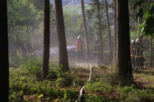 Brand eines Mulchers in einem Waldst�ck in Buchkirchen sorgte f�r Einsatz zweier Feuerwehren