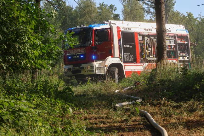 Brand eines Mulchers in einem Waldst�ck in Buchkirchen sorgte f�r Einsatz zweier Feuerwehren