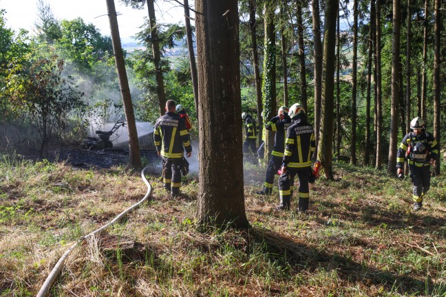 Brand eines Mulchers in einem Waldst�ck in Buchkirchen sorgte f�r Einsatz zweier Feuerwehren