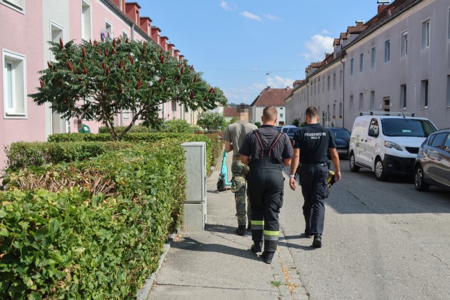 Vogelspinne: Suche nach aufgebrachter Spinne in einer Wohnung in Wels-Vogelweide