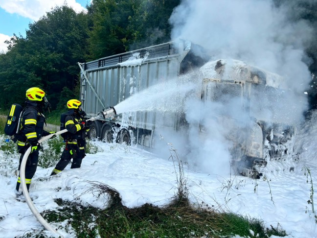 Acht Feuerwehren: Brenzlige Lage bei LKW-Brand neben steilem Waldst�ck in Engelhartszell