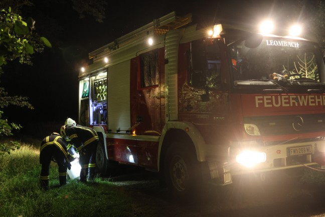 Einsatzkr�fte der Feuerwehr bei kleinerem Brand in einem Wald in Sipbachzell im Einsatz
