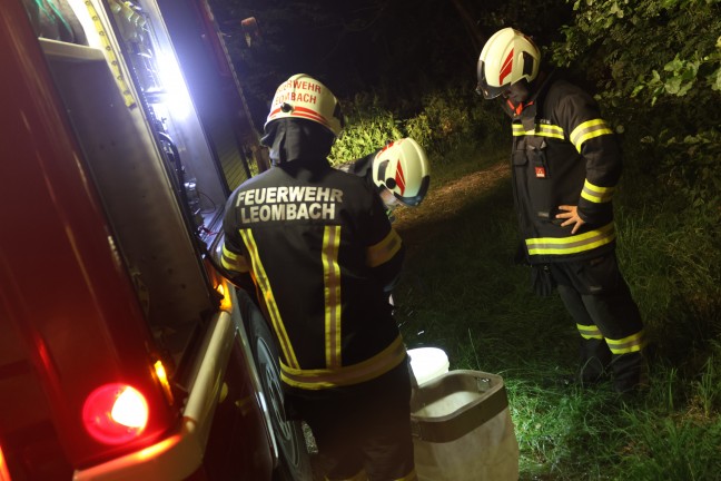 Einsatzkr�fte der Feuerwehr bei kleinerem Brand in einem Wald in Sipbachzell im Einsatz