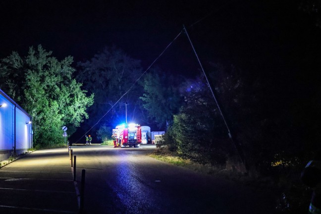 Vom Specht durchl�chert: Stra�e in Marchtrenk durch umgest�rzte Telefonmasten blockiert