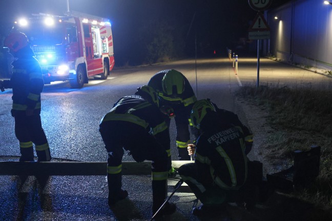 Vom Specht durchl�chert: Stra�e in Marchtrenk durch umgest�rzte Telefonmasten blockiert