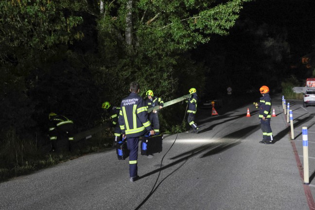 Vom Specht durchl�chert: Stra�e in Marchtrenk durch umgest�rzte Telefonmasten blockiert