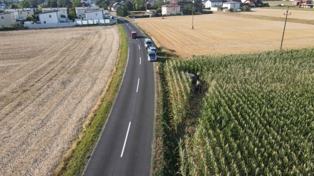 N�chtliche Spritztour mit gestohlenem Auto endete in einem Maisfeld in Marchtrenk