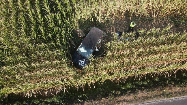 N�chtliche Spritztour mit gestohlenem Auto endete in einem Maisfeld in Marchtrenk