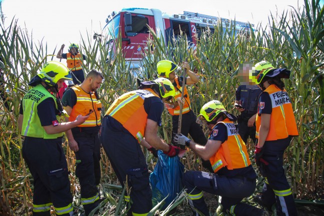 N�chtliche Spritztour mit gestohlenem Auto endete in einem Maisfeld in Marchtrenk