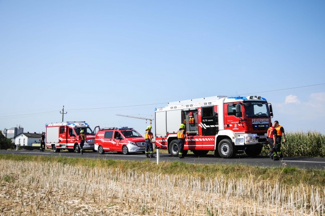 N�chtliche Spritztour mit gestohlenem Auto endete in einem Maisfeld in Marchtrenk