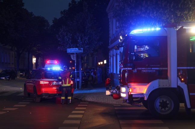 Personenrettung bei Gewitter: Kastanienbaum in einem Gastgarten in Wels-Neustadt auf G�ste gest�rzt
