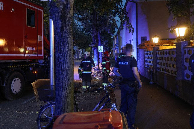 Personenrettung bei Gewitter: Kastanienbaum in einem Gastgarten in Wels-Neustadt auf G�ste gest�rzt