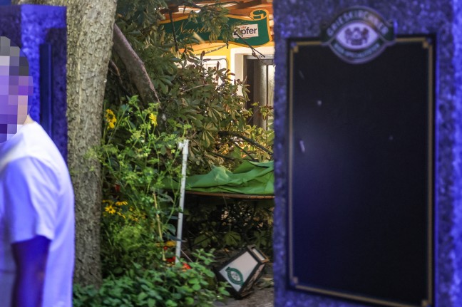 Personenrettung bei Gewitter: Kastanienbaum in einem Gastgarten in Wels-Neustadt auf G�ste gest�rzt