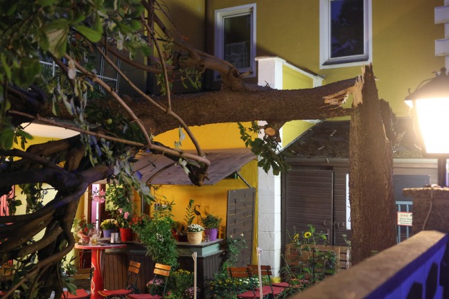 Personenrettung bei Gewitter: Kastanienbaum in einem Gastgarten in Wels-Neustadt auf G�ste gest�rzt