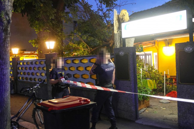 Personenrettung bei Gewitter: Kastanienbaum in einem Gastgarten in Wels-Neustadt auf G�ste gest�rzt