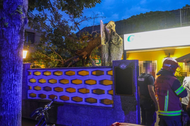Personenrettung bei Gewitter: Kastanienbaum in einem Gastgarten in Wels-Neustadt auf G�ste gest�rzt