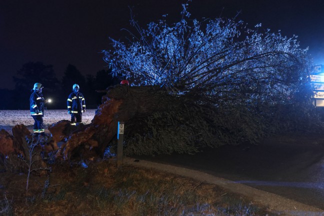 Unwettereins�tze: Gewitterfront sorgte f�r zahlreiche Eins�tze in Ober�sterreich
