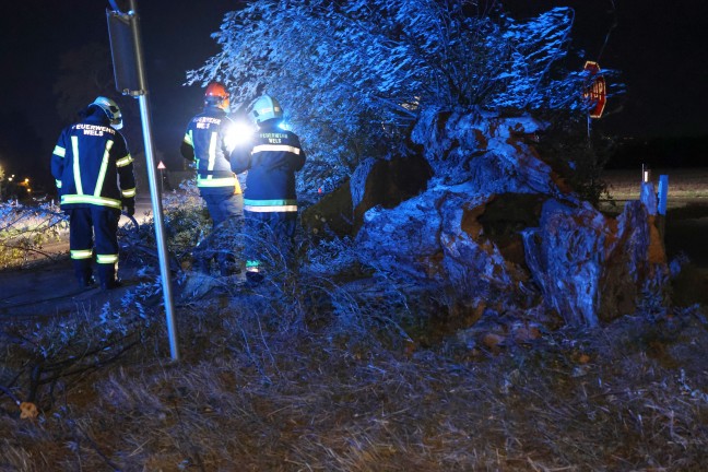 Unwettereins�tze: Gewitterfront sorgte f�r zahlreiche Eins�tze in Ober�sterreich