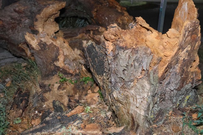 Unwettereins�tze: Gewitterfront sorgte f�r zahlreiche Eins�tze in Ober�sterreich