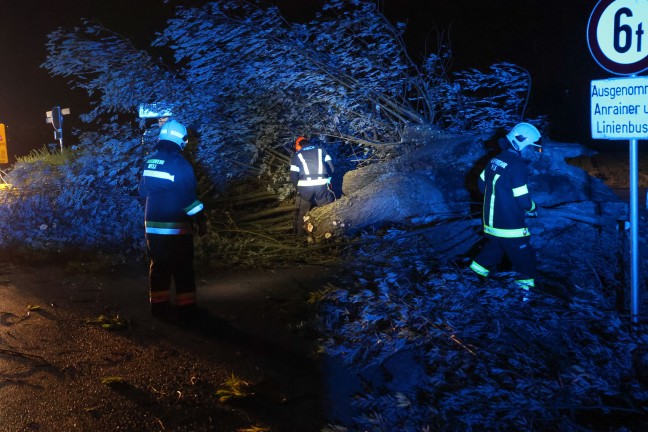 Unwettereins�tze: Gewitterfront sorgte f�r zahlreiche Eins�tze in Ober�sterreich