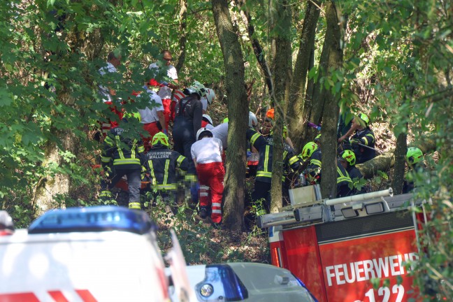 Personenrettung: Mann in einem Waldst�ck in Wallern an der Trattnach unter Baum eingeklemmt