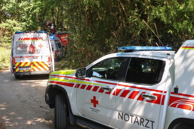 Personenrettung: Mann in einem Waldst�ck in Wallern an der Trattnach unter Baum eingeklemmt