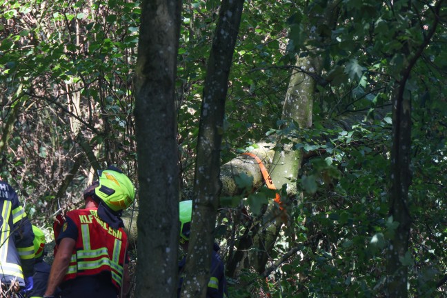 Personenrettung: Mann in einem Waldst�ck in Wallern an der Trattnach unter Baum eingeklemmt
